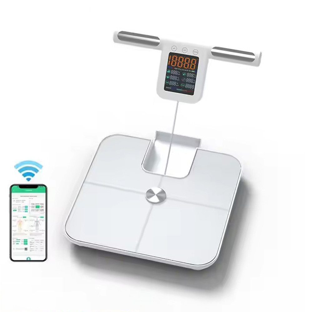 Body Fat Scale Smart - Saplı Akıllı Vücut Yağ Ölçeği, 24'lü