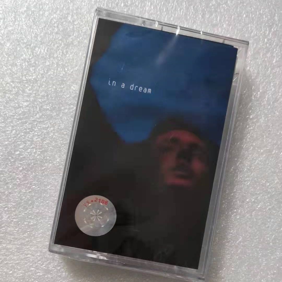 Electronic Gift - Troye Sivan In A Dream Albümü