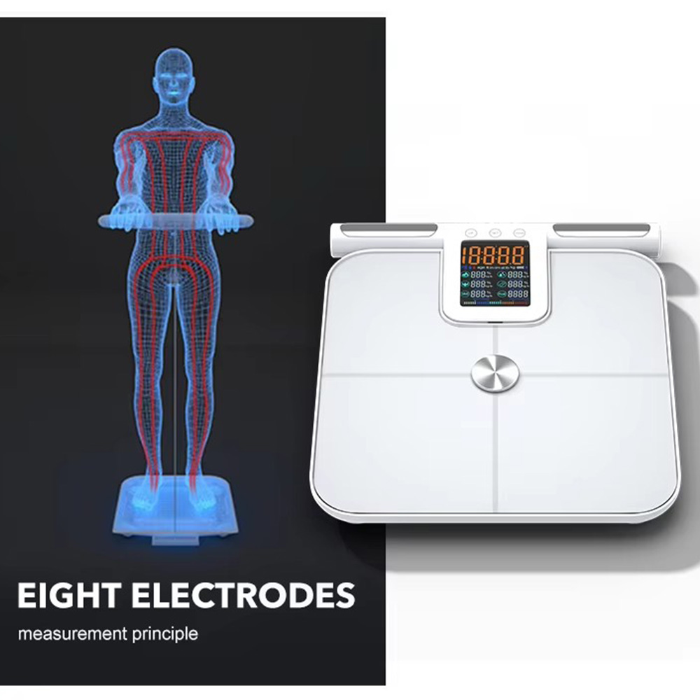 Saplı Akıllı Vücut Yağ Ölçeği, - Body Fat Scale Smart incelemesi ve fiyatı
