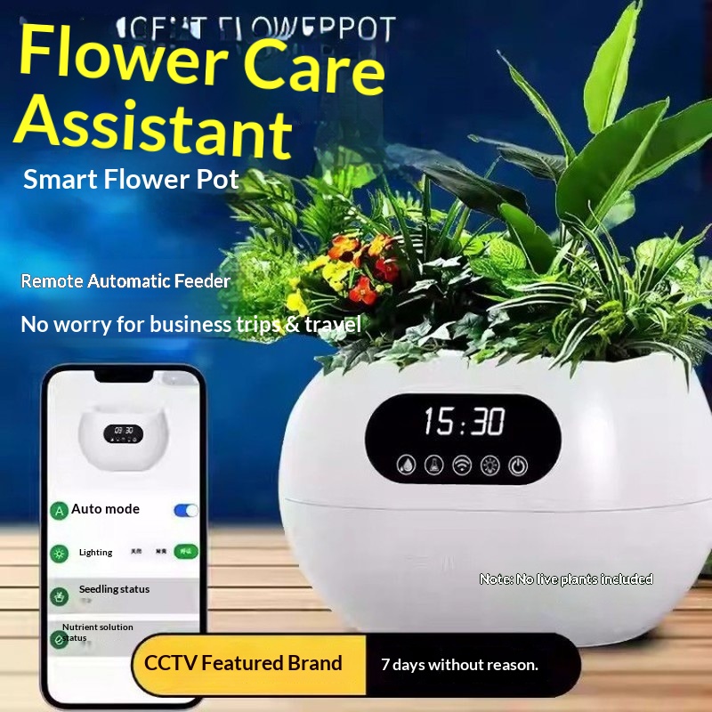 Yapay Zeka Akıllı Saksı Otomat - Electronic Gift incelemesi ve fiyatı